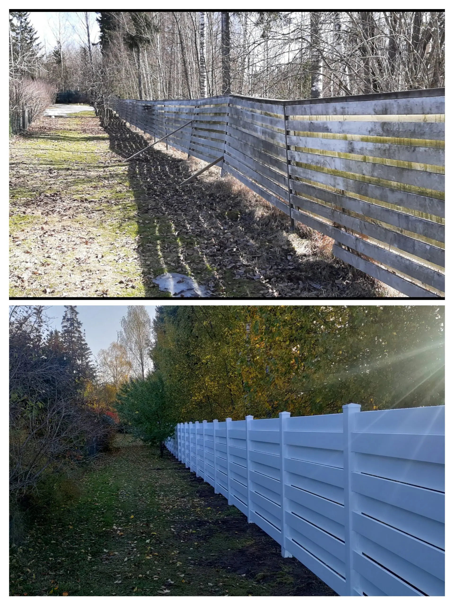 20221007 092114 COLLAGE