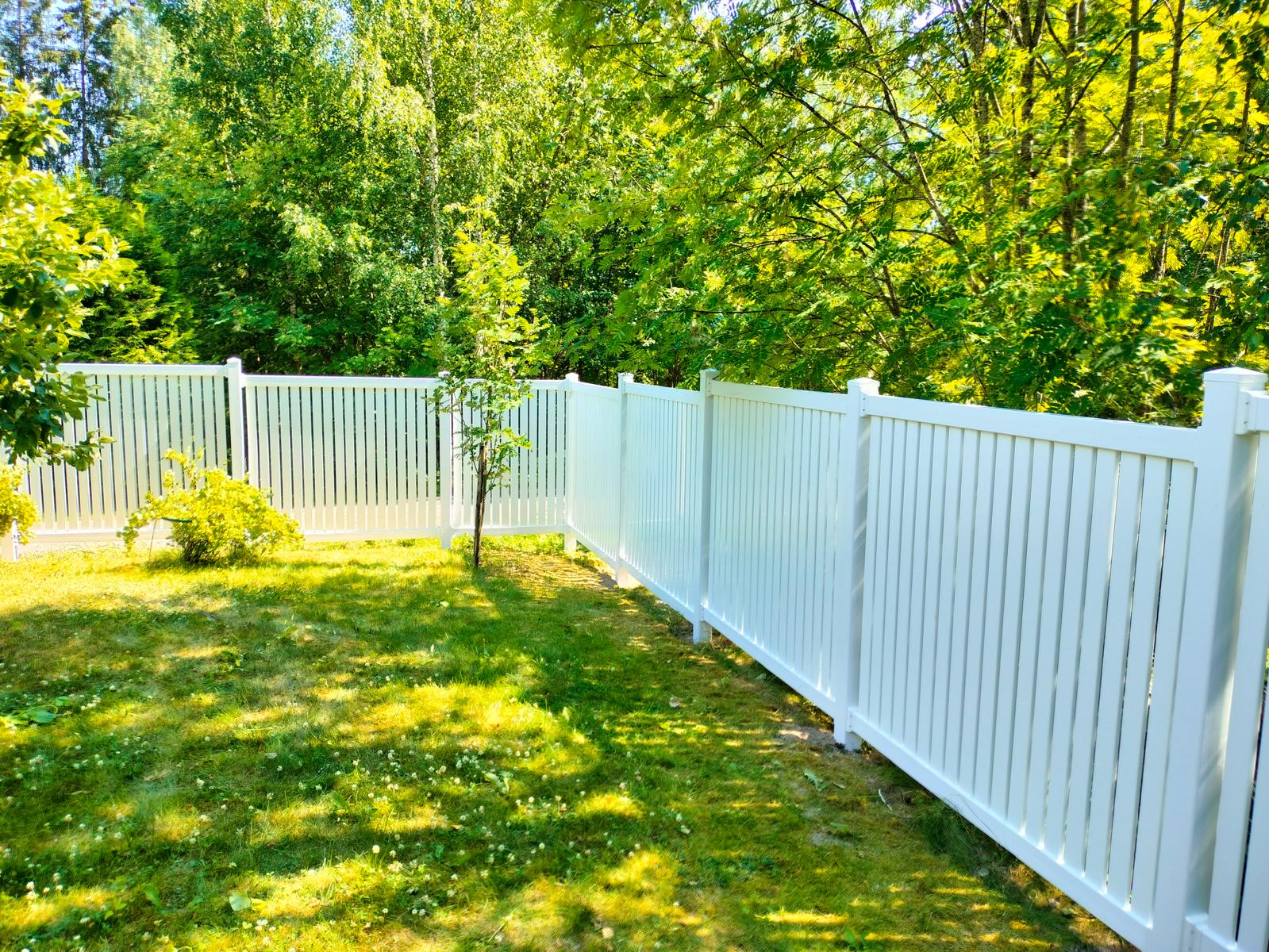 IMG 20240630 WA0003 1